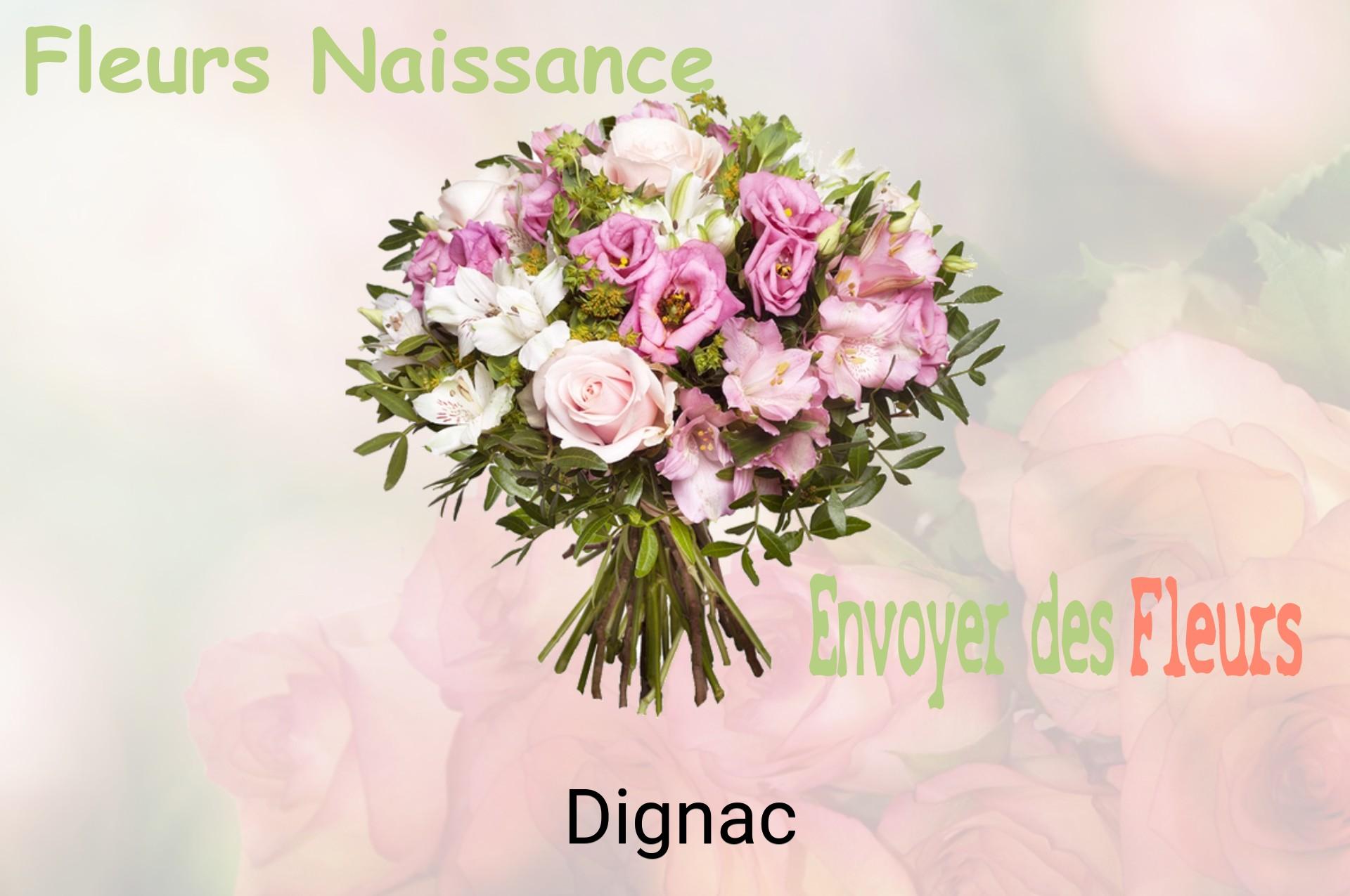 Bouquet de fleurs de naissance livré à Dignac